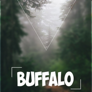 Buffalo(1)