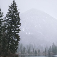 Дамир Тухватуллин