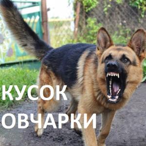 Кусок Овчарки