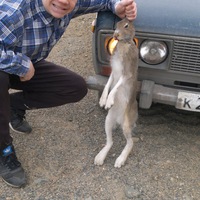 Андрей Лёвкин