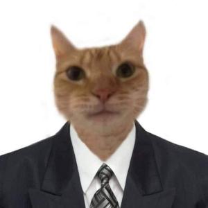 The Best Gamer