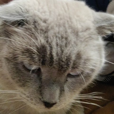 Ваня Польников