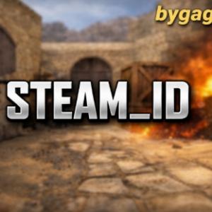 Что такое STEAM_ID и где его взять ?